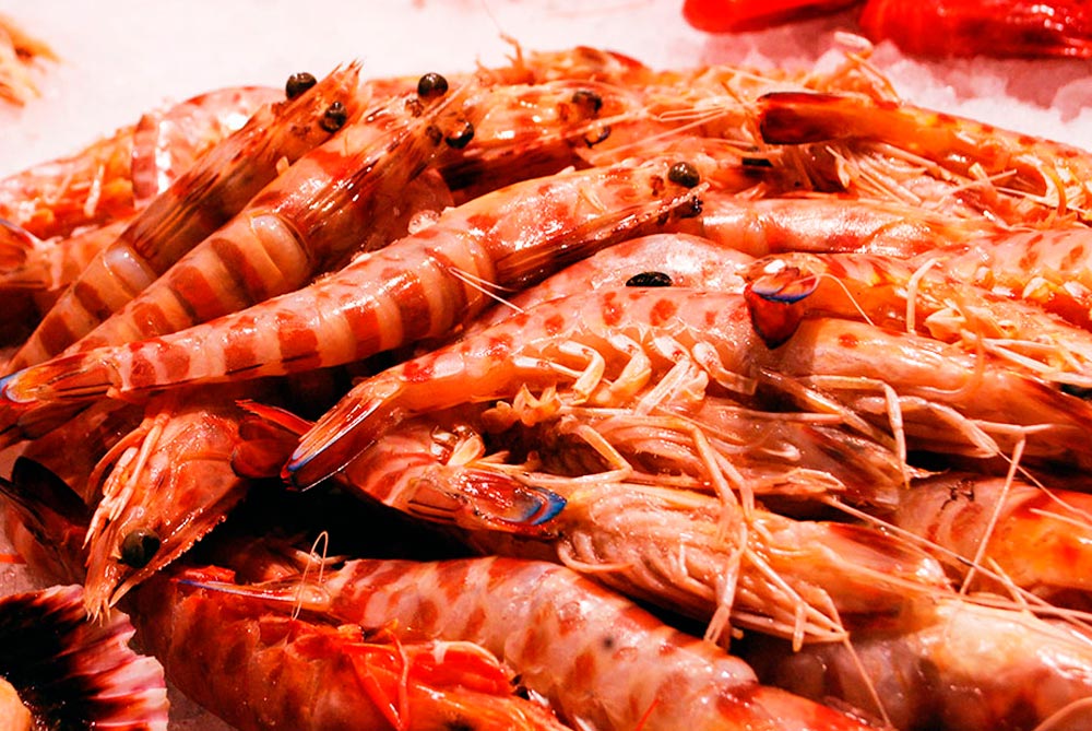 Langostino de Huelva