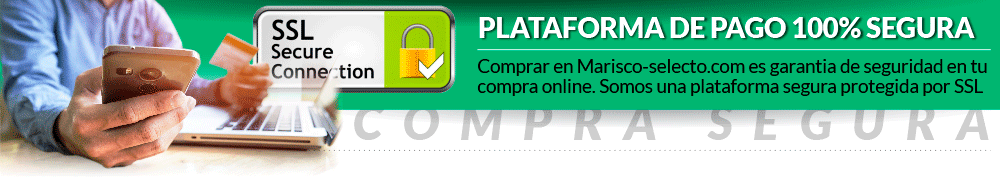 PLATAFORMA DE PAGO 100% SEGURA